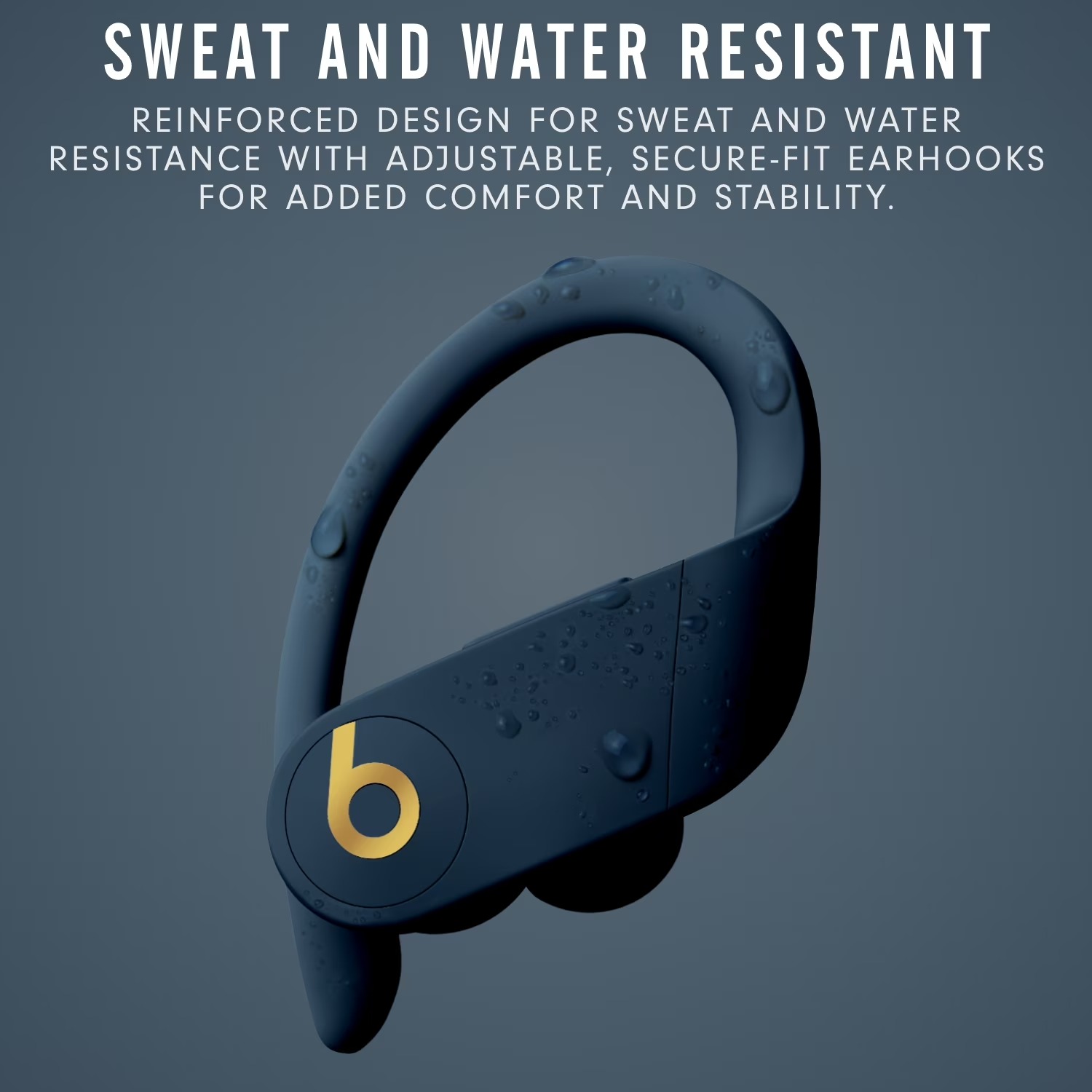 Beats Powerbeats Pro 이어폰, 5분 빠 - Beats Headphone Powerbeats Pro 리뷰 및 가격